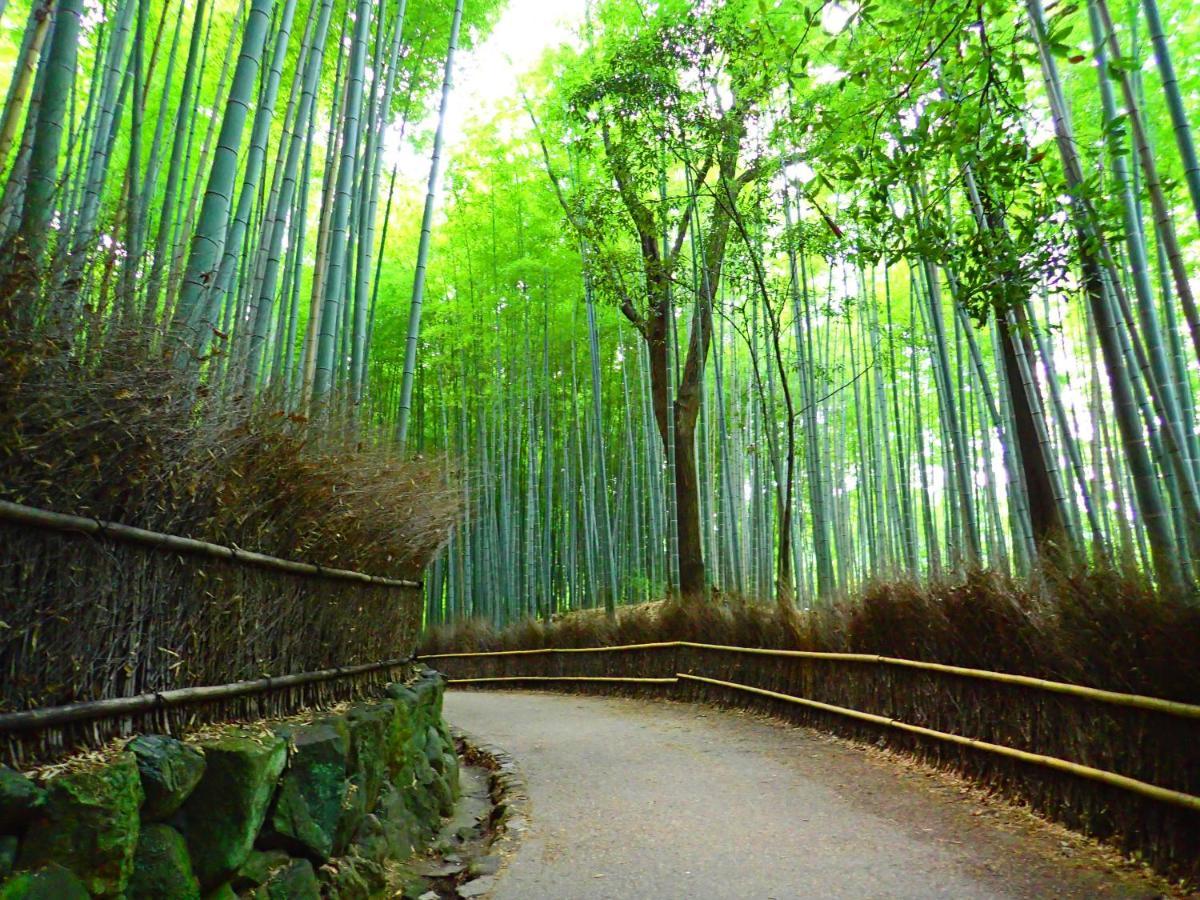 ホテル Arrows Arashiyama 3*